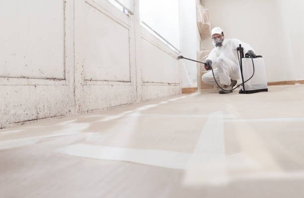 24/7 Emergency Mold Remediation experts in Arlington Heights, PA